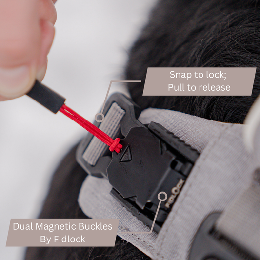 Magnetic No-Pull Dog Harness – One-Hand Lock, Secure & Comfortable Control