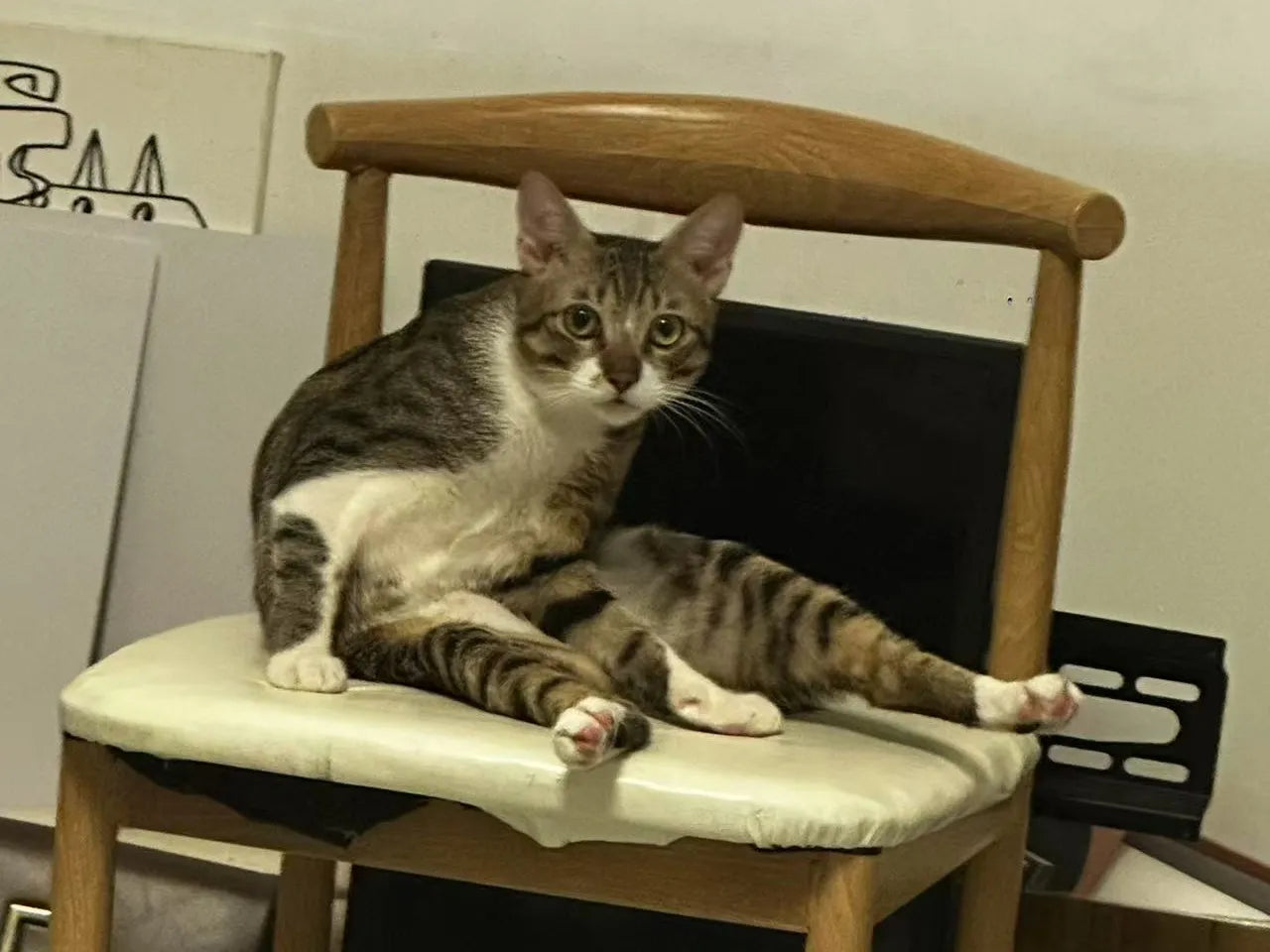 image comparison before