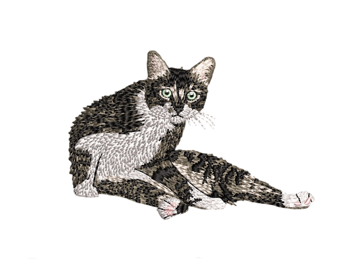 image comparison after