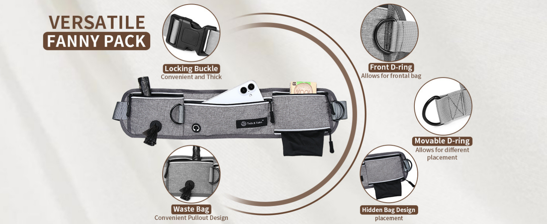 Active Dog Hands-Free Leash