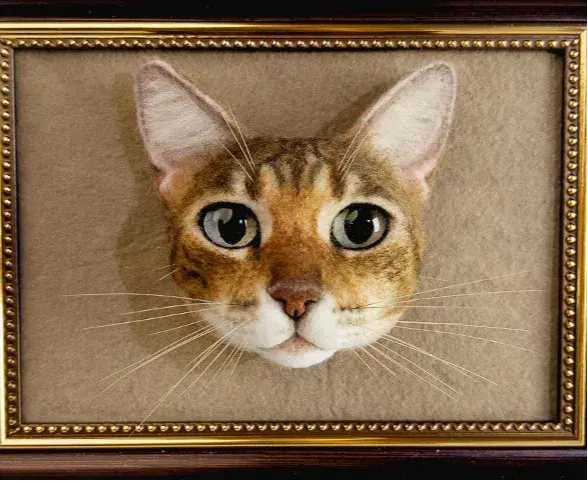 image comparison after