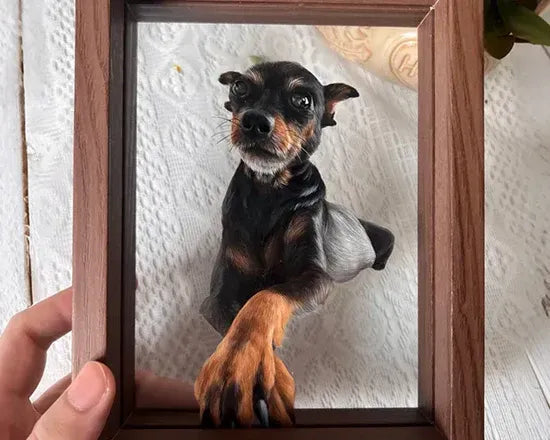 image comparison after