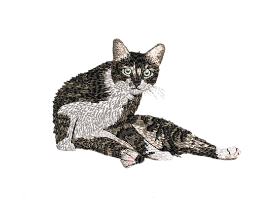 image comparison after